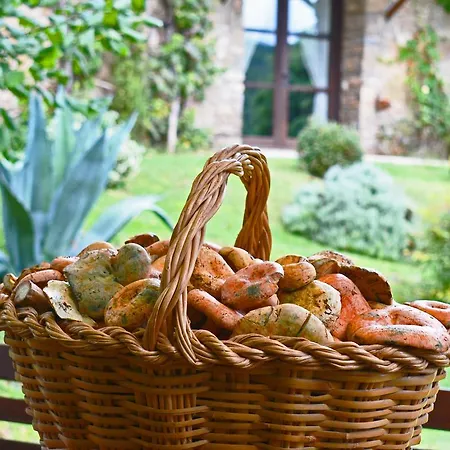 Отель El Querol Vell 3*