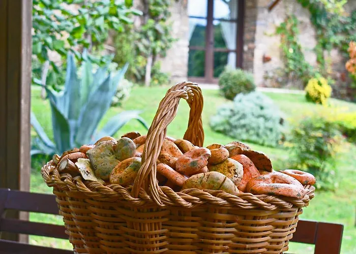 酒店 El Querol Vell 3*